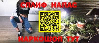 прущие грибы Канаш