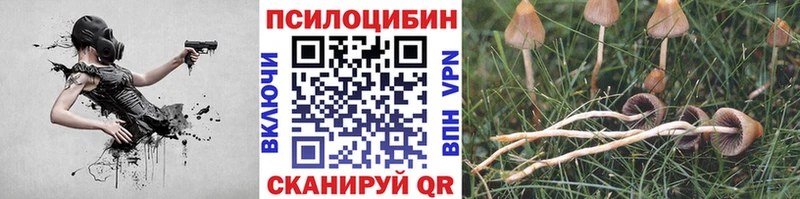 наркотики площадка состав Галлюциногенные грибы прущие грибы Кубинка гидра ТОР